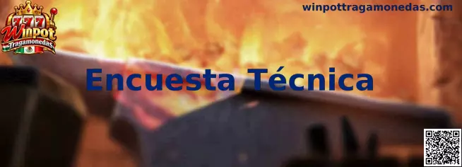 Encuesta Técnica para pruebas de calidad y usabilidad de Winpot Tragamonedas