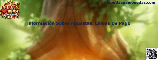 Guía visual sobre apuestas y líneas de pago en tragamonedas