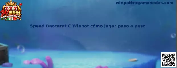 Imagen de referencia de Speed Baccarat C Winpot para consultar la interfaz y comprender el juego paso a paso